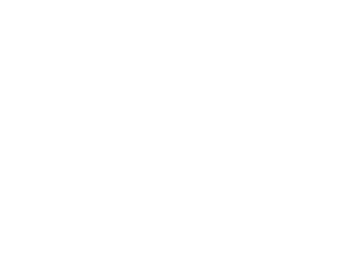 Shelter Music Group Logo